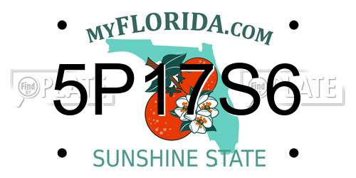 5P17S6 Florida License Plate