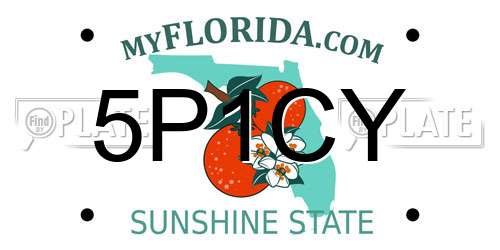 5P1CY Florida License Plate