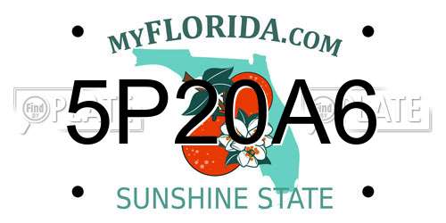 5P20A6 Florida License Plate