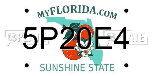 5P20E4 Florida License Plate