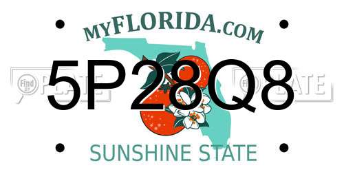 5P28Q8 Florida License Plate
