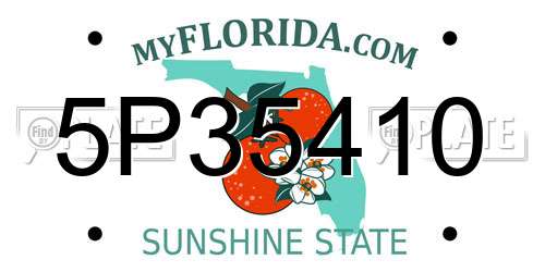 5P35410 Florida License Plate