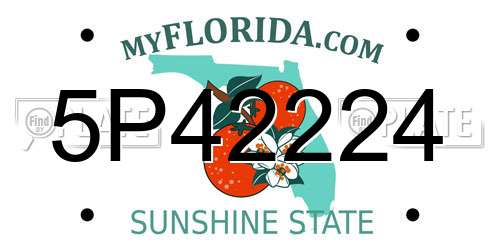 5P42224 Florida License Plate