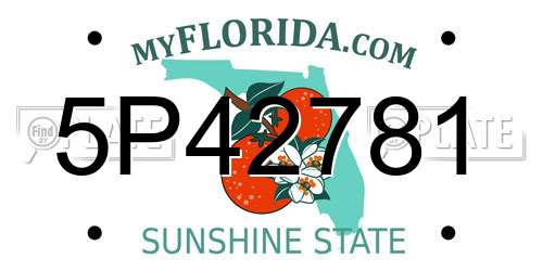 5P42781 Florida License Plate