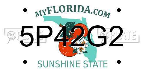 5P42G2 Florida License Plate