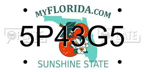 5P43G5 Florida License Plate
