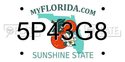 5P43G8 Florida License Plate