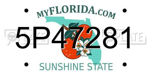 5P47281 Florida License Plate