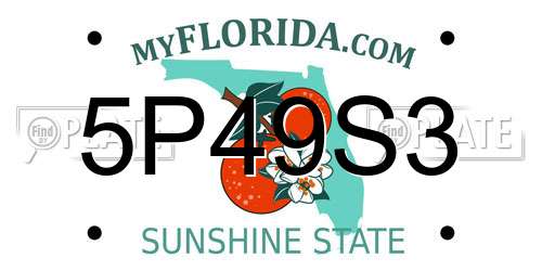 5P49S3 Florida License Plate