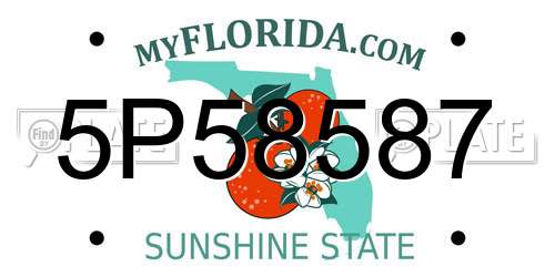 5P58587 Florida License Plate