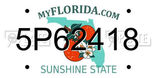 5P62418 Florida License Plate