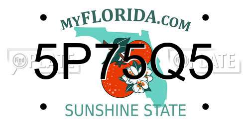 5P75Q5 Florida License Plate