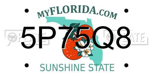 5P75Q8 Florida License Plate