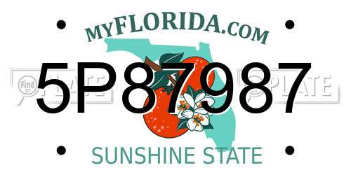 5P87987 Florida License Plate
