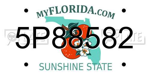 5P88582 Florida License Plate