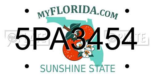 5PA3454 Florida License Plate