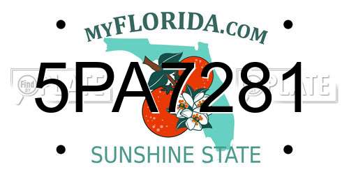 5PA7281 Florida License Plate