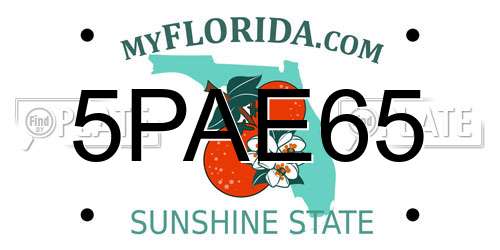 5PAE65 Florida License Plate