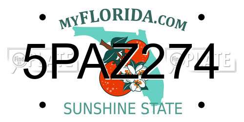 5PAZ274 Florida License Plate