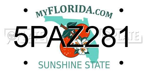 5PAZ281 Florida License Plate