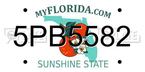 5PB5582 Florida License Plate