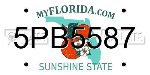 5PB5587 Florida License Plate