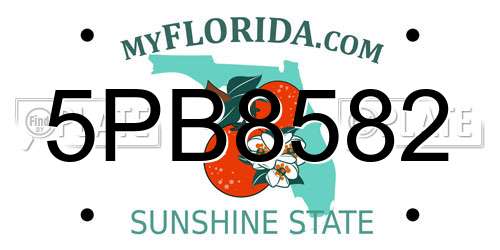 5PB8582 Florida License Plate