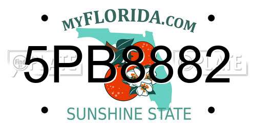 5PB8882 Florida License Plate