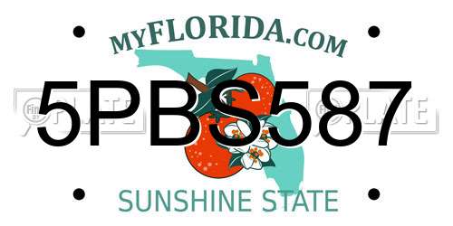 5PBS587 Florida License Plate