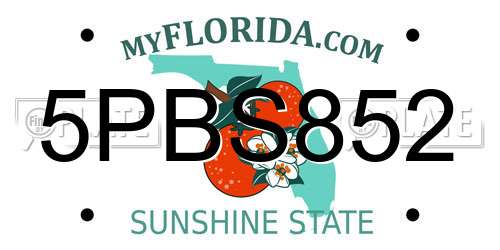 5PBS852 Florida License Plate