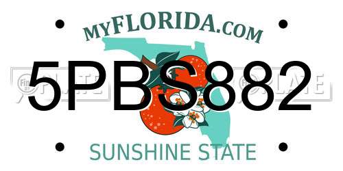 5PBS882 Florida License Plate