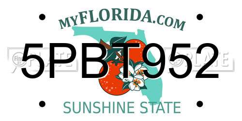 5PBT952 Florida License Plate