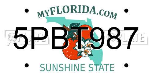 5PBT987 Florida License Plate