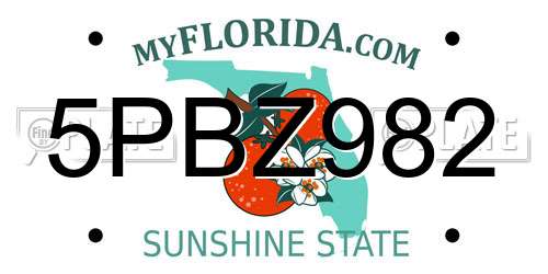 5PBZ982 Florida License Plate