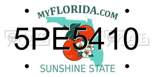 5PE5410 Florida License Plate