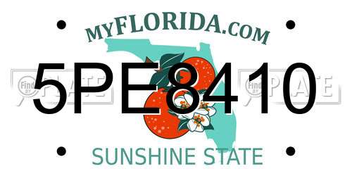 5PE8410 Florida License Plate