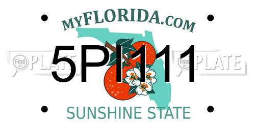 5PI111 Florida License Plate