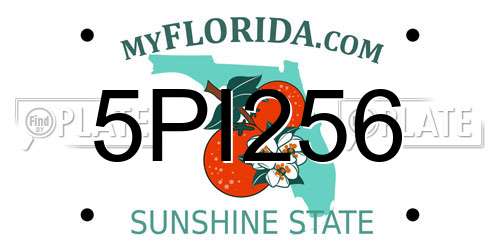 5PI256 Florida License Plate