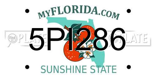 5PI286 Florida License Plate