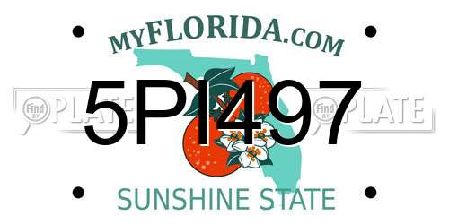 5PI497 Florida License Plate