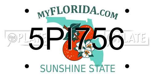 5PI756 Florida License Plate