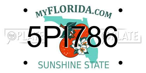 5PI786 Florida License Plate