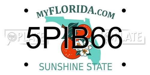 5PIB66 Florida License Plate