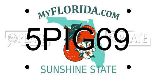 5PIG69 Florida License Plate
