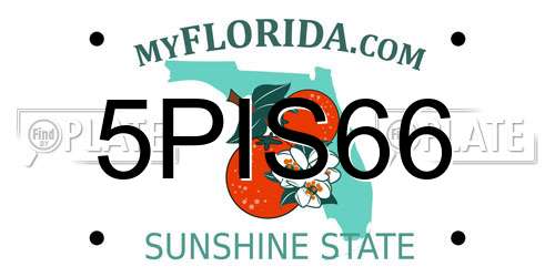 5PIS66 Florida License Plate