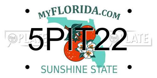 5PIT22 Florida License Plate