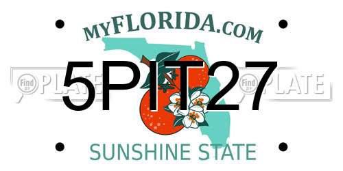 5PIT27 Florida License Plate