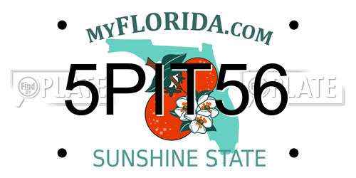 5PIT56 Florida License Plate