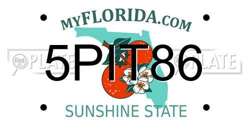 5PIT86 Florida License Plate