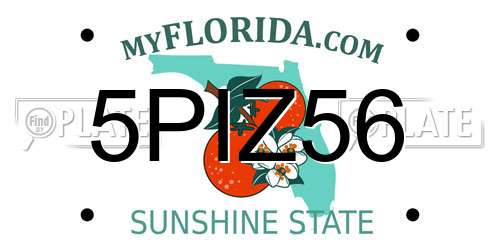 5PIZ56 Florida License Plate